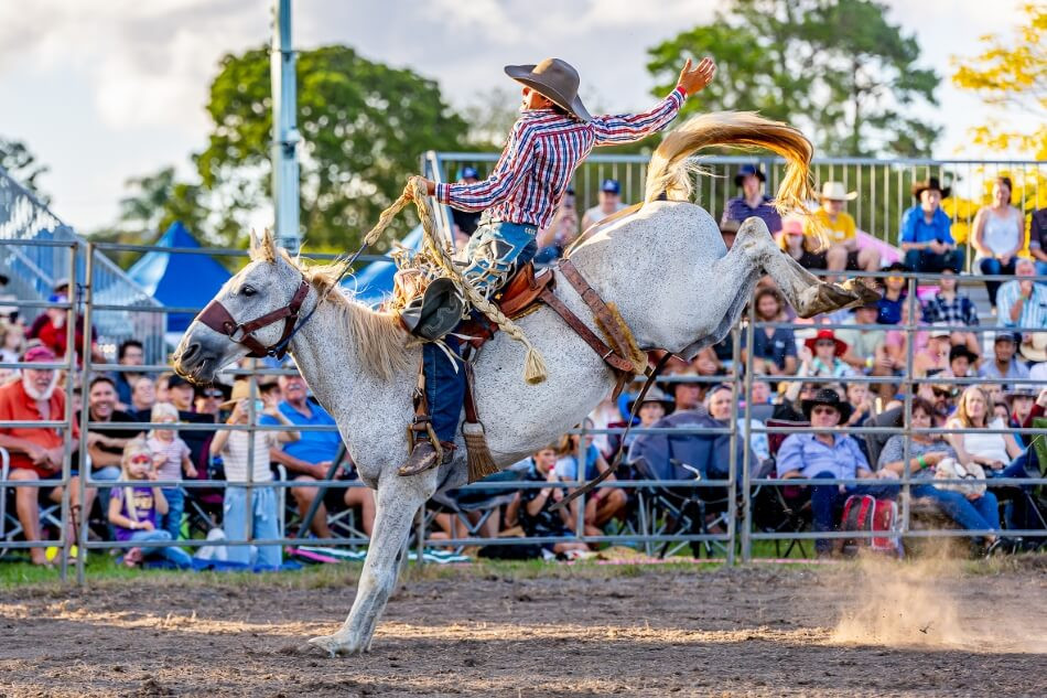 rodeo-by-shane-zahner.jpg