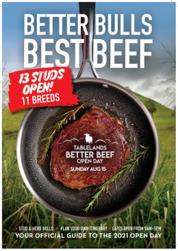 tablelands-better-beef-field-days-the-express-1.jpg